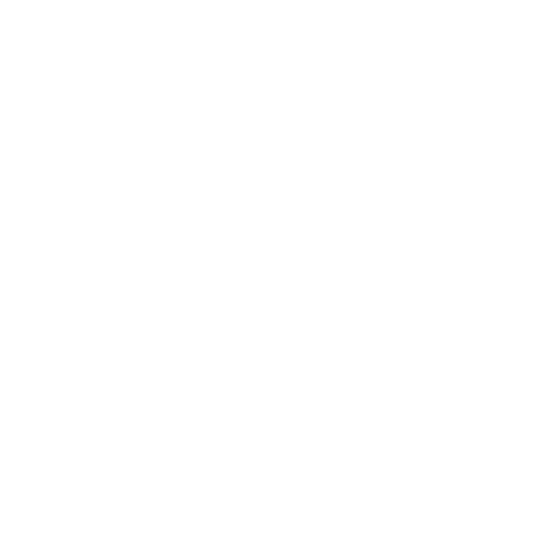 Decathlon logo dark