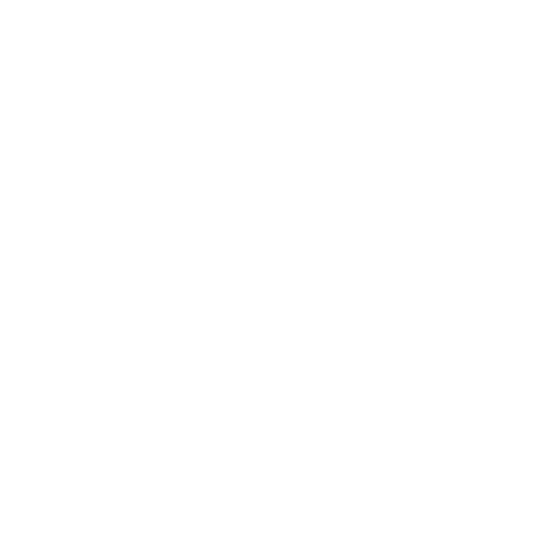 Renex Hotel logo dark