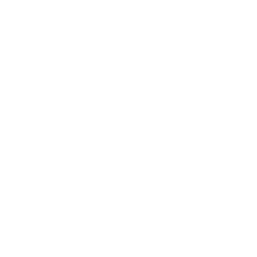 Roberto Bravo logo dark