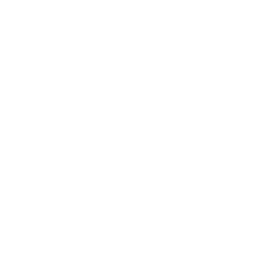 Lizay logo dark