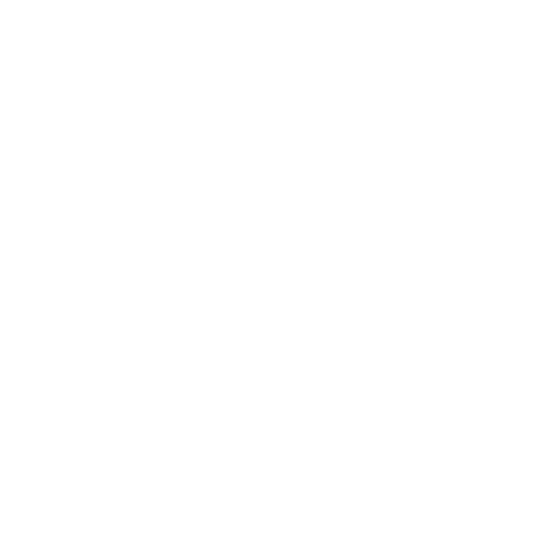 Lizay logo dark